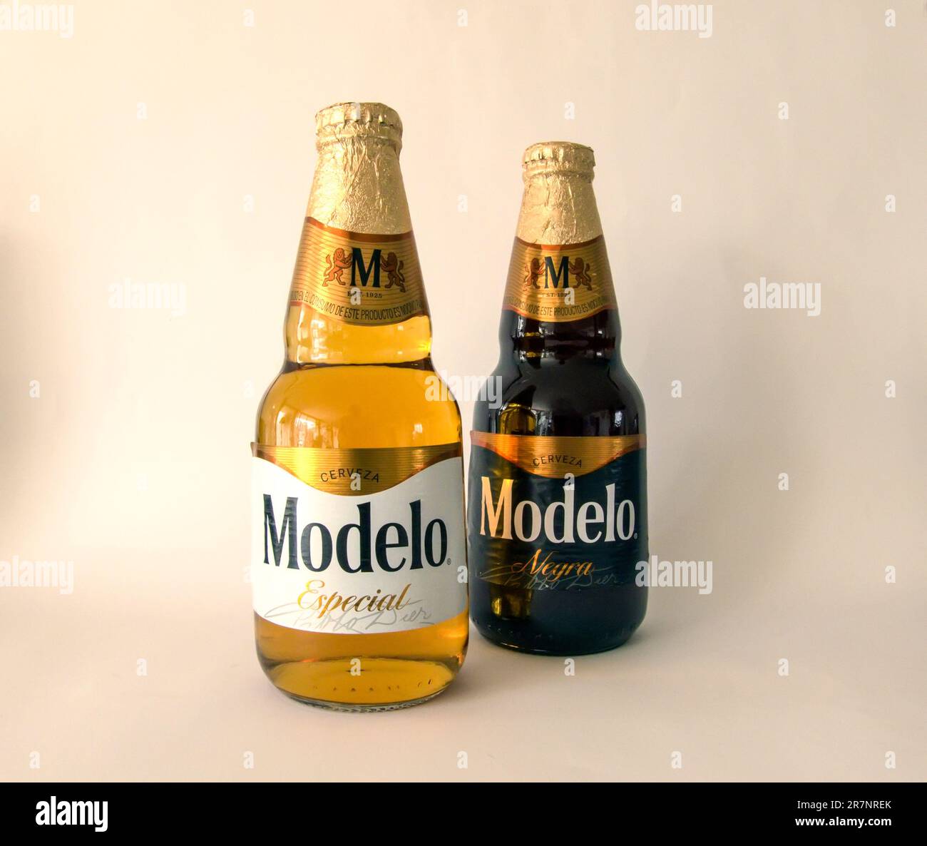 MODELO NR